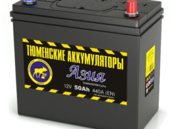 Аккумулятор ТЮМЕНЬ АЗИЯ 50 пп